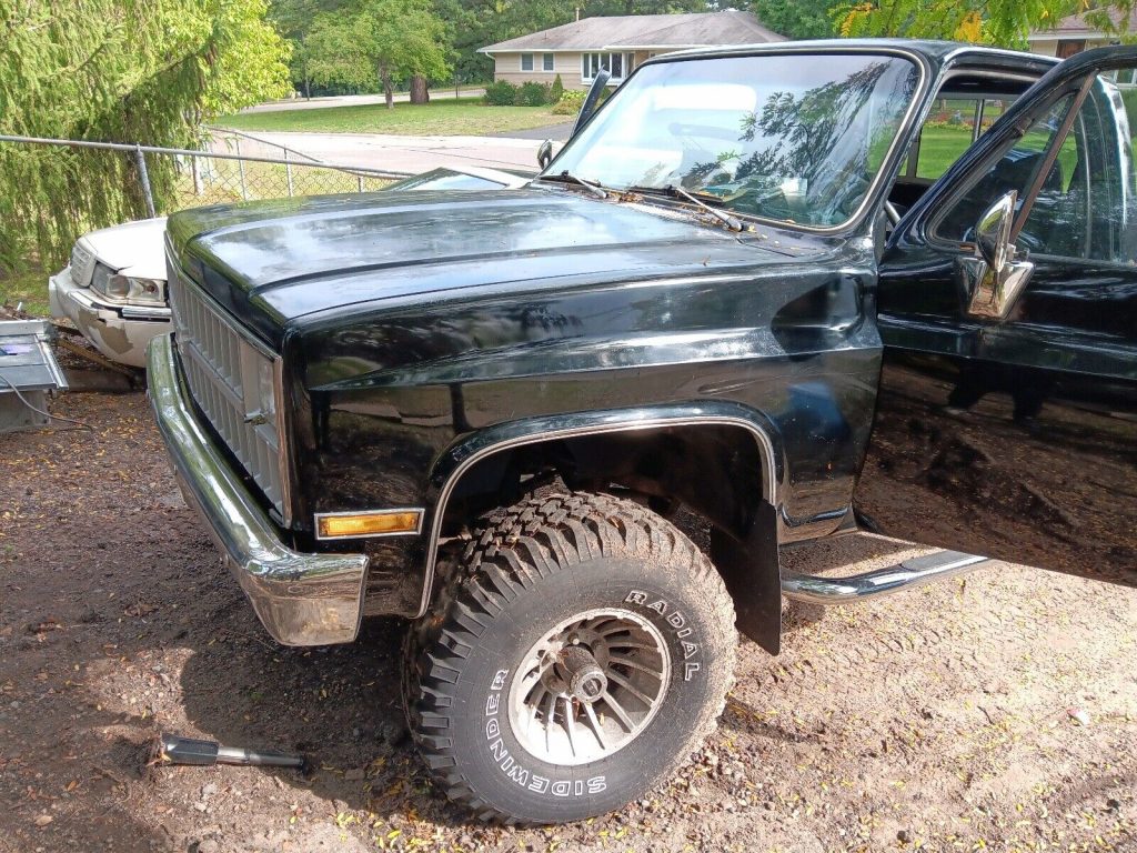 1982 Chevrolet Custom Deluxe Pickup